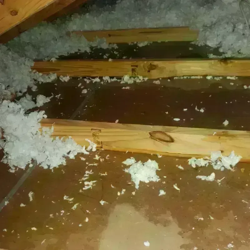 Attic Water Damage in Mount Hermon, CA